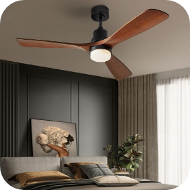 Ceeling Fans